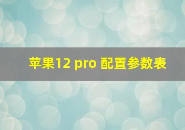 苹果12 pro 配置参数表